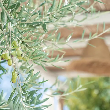 Casa de hóspedes Dimora Il Mandorlo Con Jacuzzi Riscaldata Ostuni